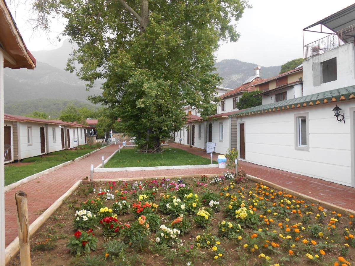 Ipsos Hotel Beldibi Kemer Exteriör bild