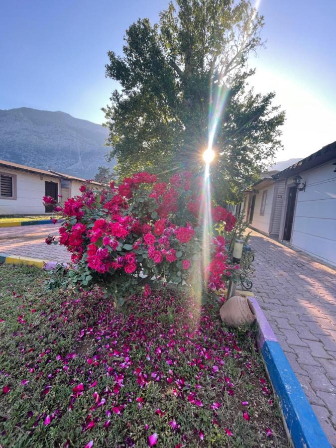 Ipsos Hotel Beldibi Kemer Exteriör bild